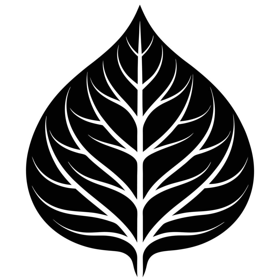 Large Tree Leaf with Dramatic Curved Veins vector