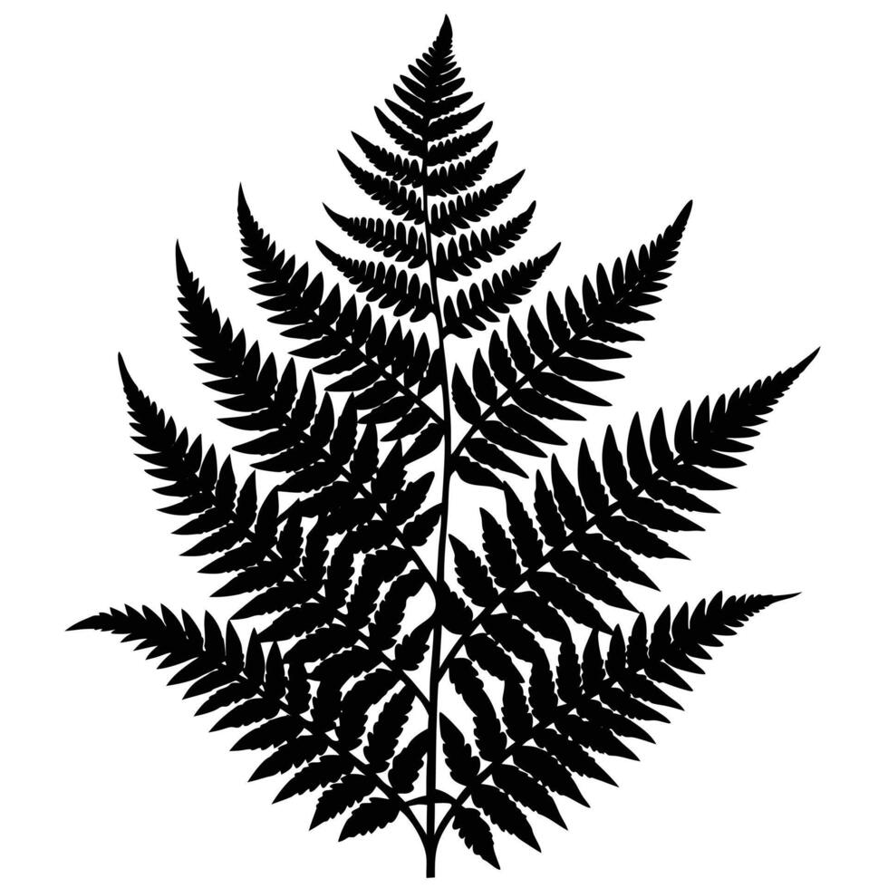 Dense Fern Silhouette with Intricate Details vector