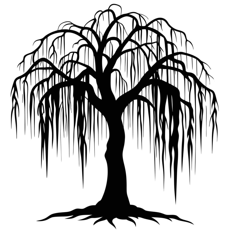 Frozen Willow with Long Dripping Icicles vector