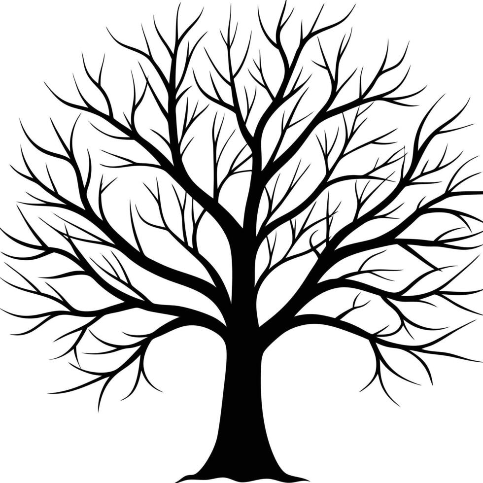 Bare Winter Tree Silhouetted with Intricate Branches on White Background vector