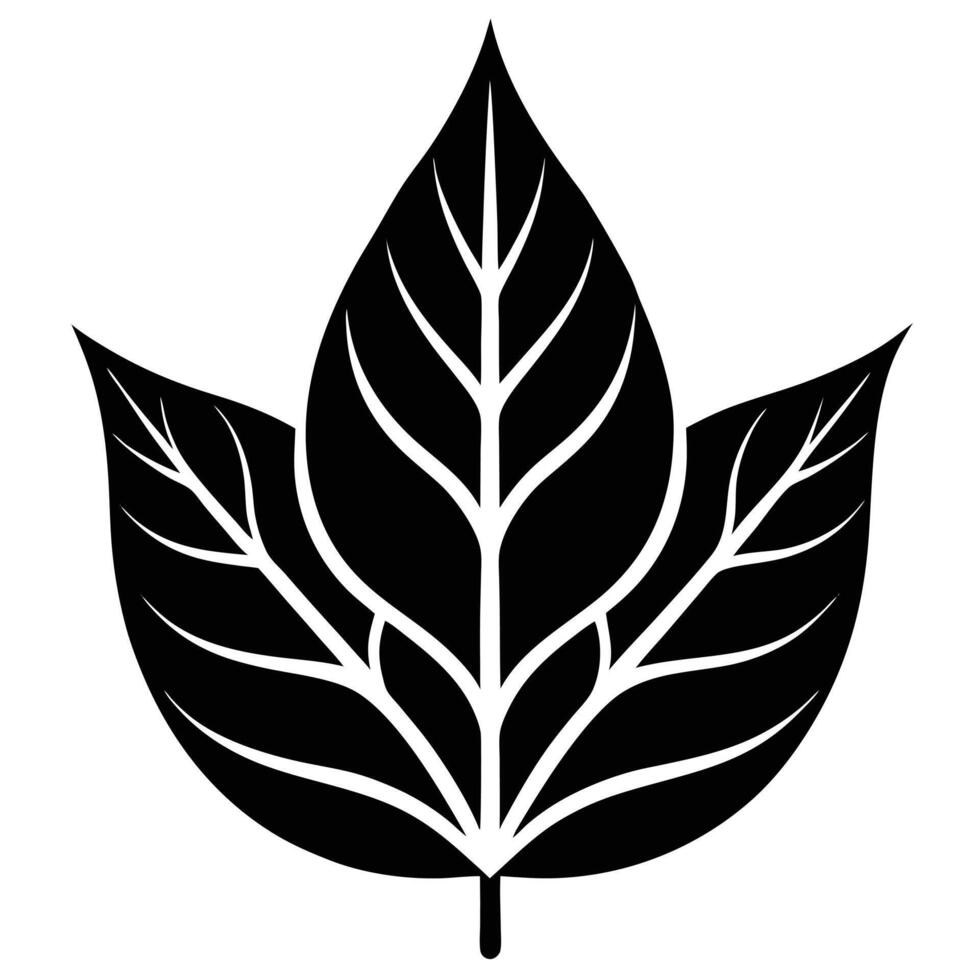 Leaf Silhouette with Symmetrical Design vector