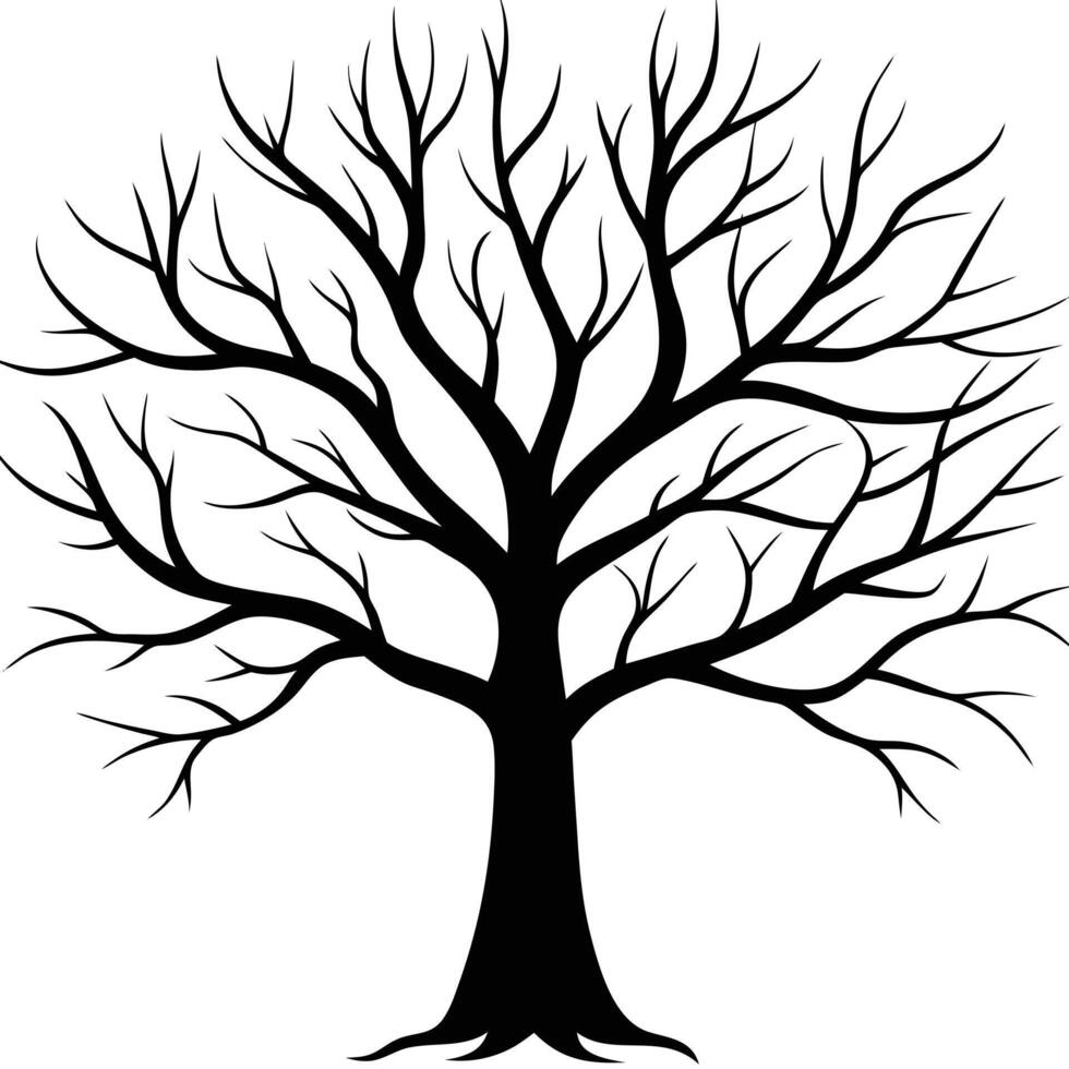 Leafless Tree Silhouette with Branches Reaching Skyward vector