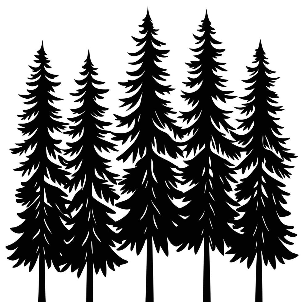 Group of Tall Pine Trees in a Dense Forest vector