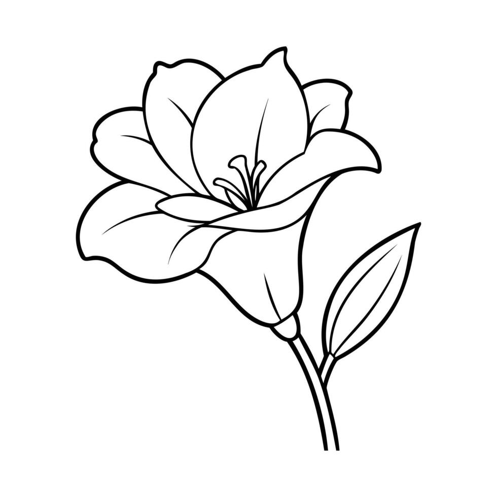 Black and white line drawing of a freesia flower with a stem and leaf vector