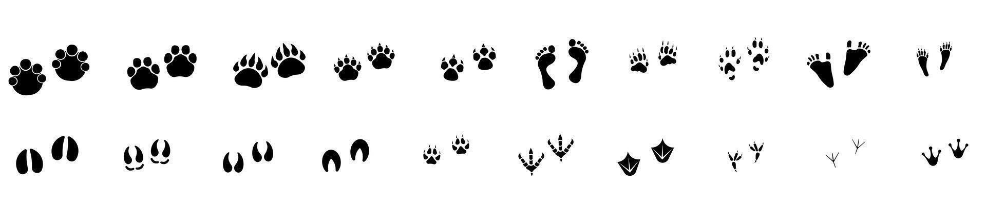 Large set of animal and bird footprints isolated on white. vector