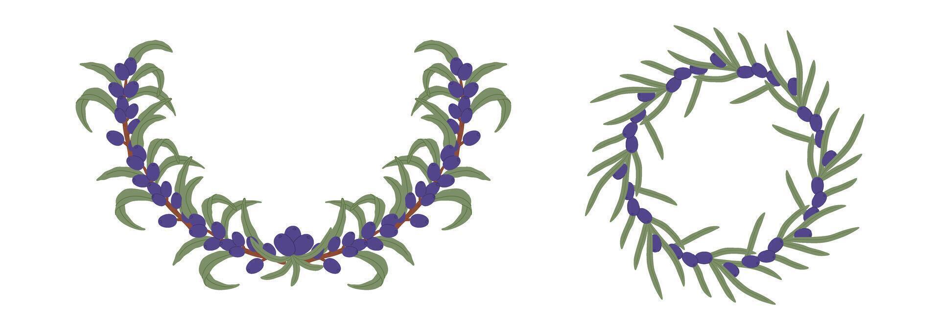 Olive branches and berries forming decorative half circle and circle borders, creating a natural and elegant design vector