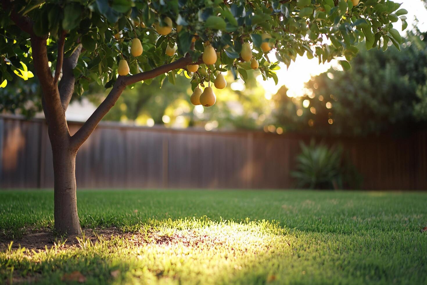 A tree with fruit on it in a backyard photo