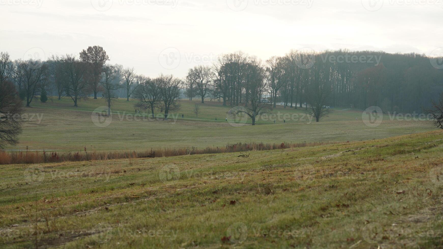 The valley Forge view with the meadows and woods in the USA photo