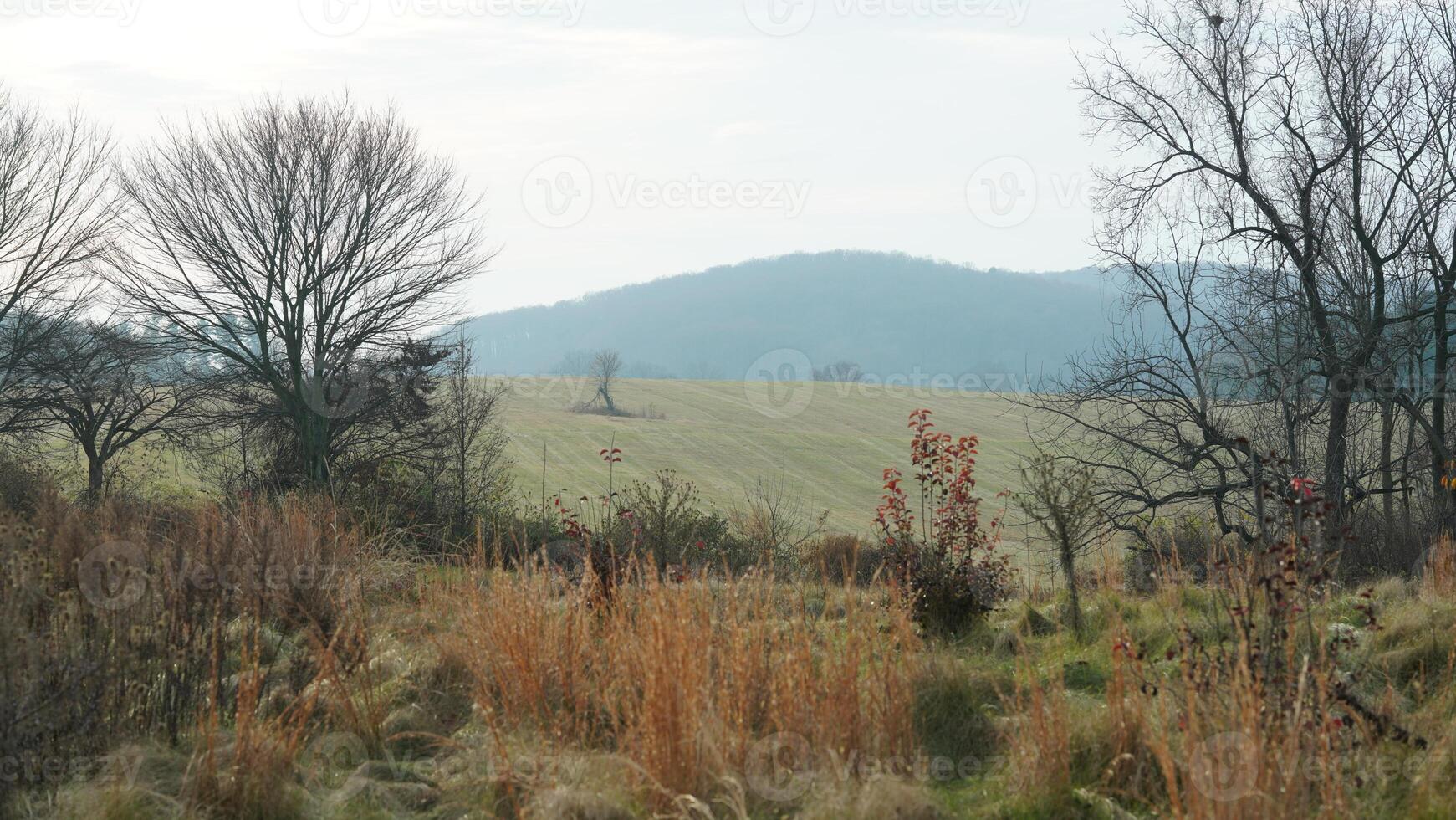 The valley Forge view with the meadows and woods in the USA photo
