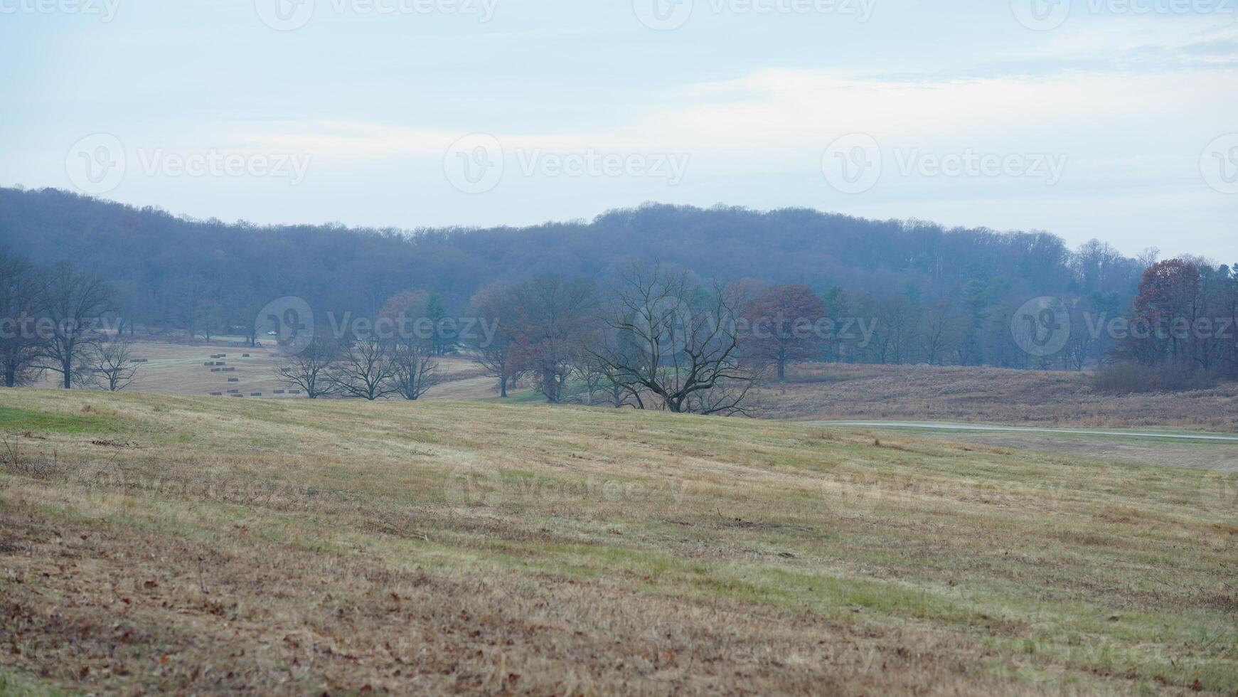 The valley Forge view with the meadows and woods in the USA photo