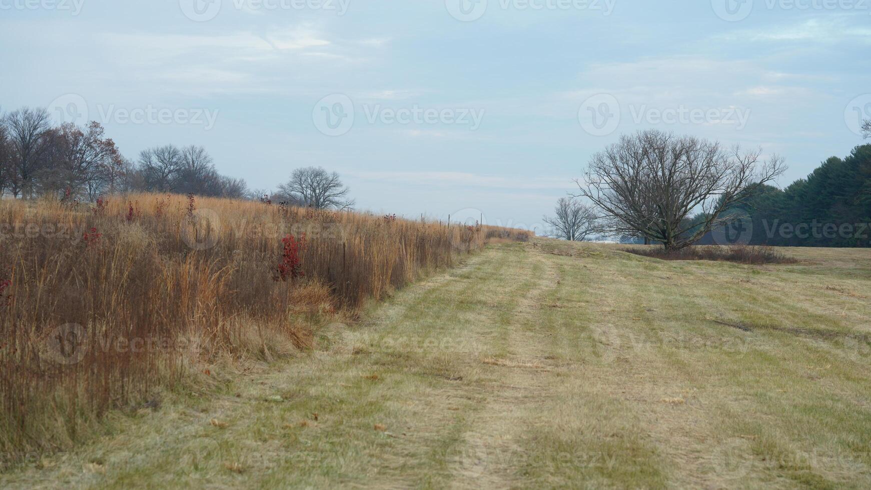 The valley Forge view with the meadows and woods in the USA photo