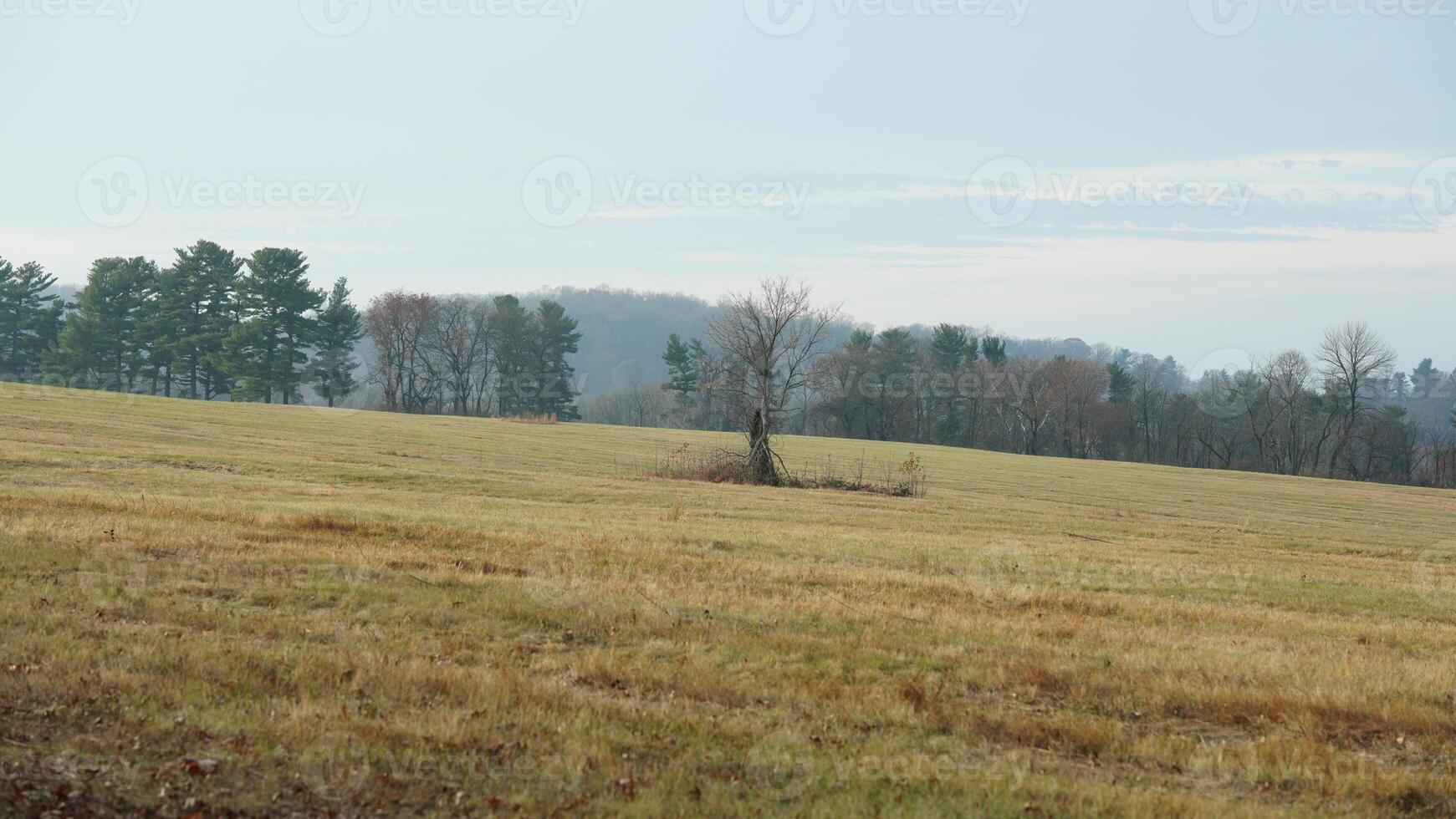 The valley Forge view with the meadows and woods in the USA photo