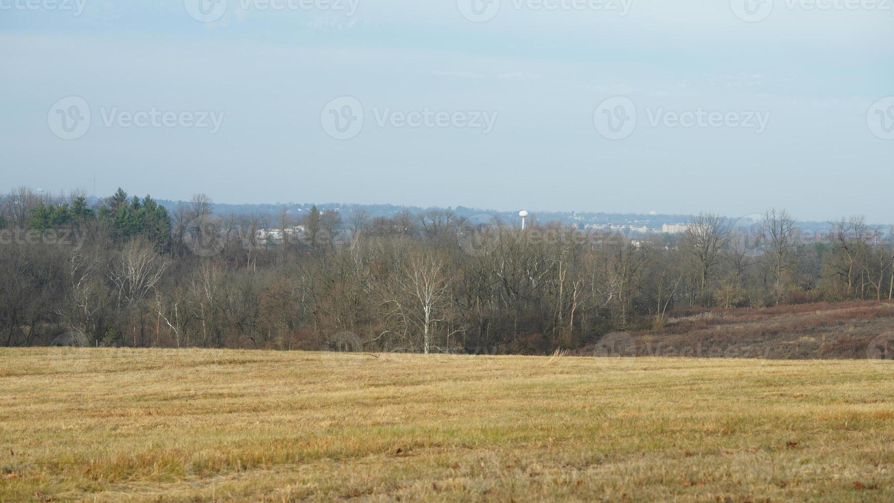 The valley Forge view with the meadows and woods in the USA photo