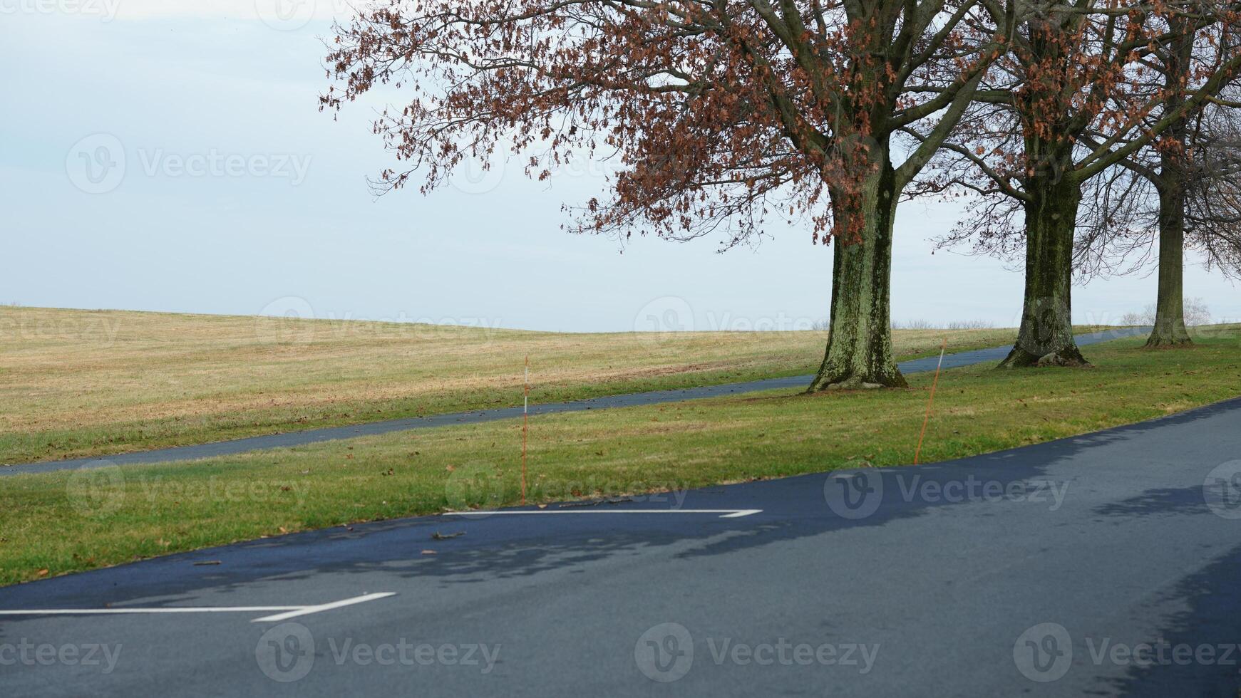 The valley Forge view with the meadows and woods in the USA photo
