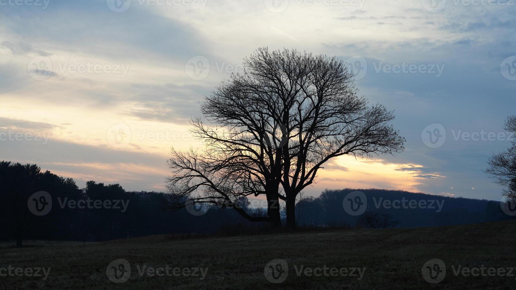 The valley Forge view with the meadows and woods in the USA photo