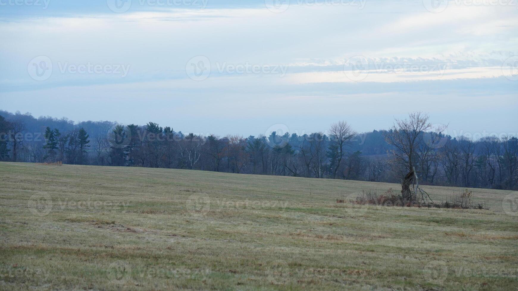 The valley Forge view with the meadows and woods in the USA photo