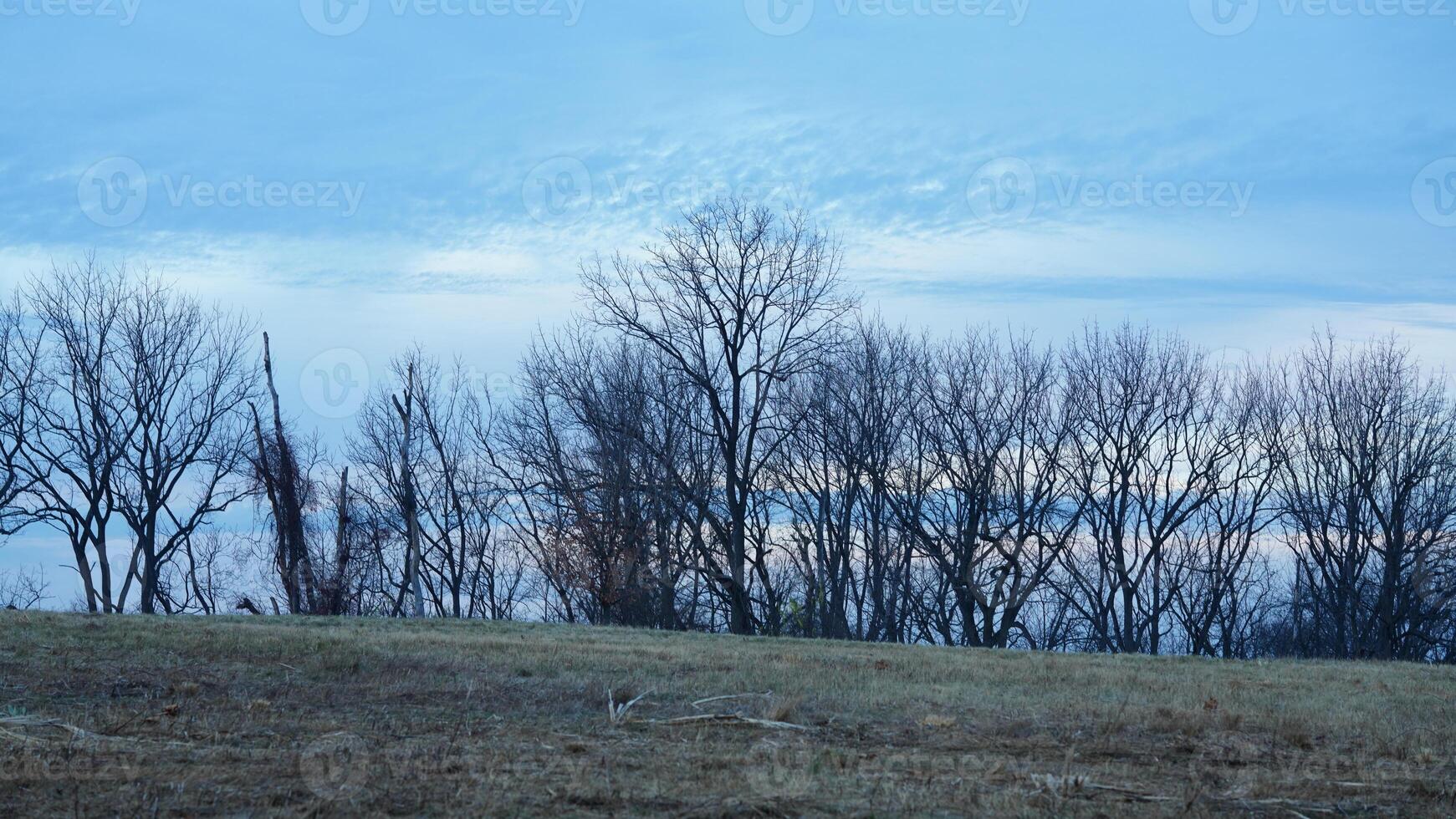 The valley Forge view with the meadows and woods in the USA photo