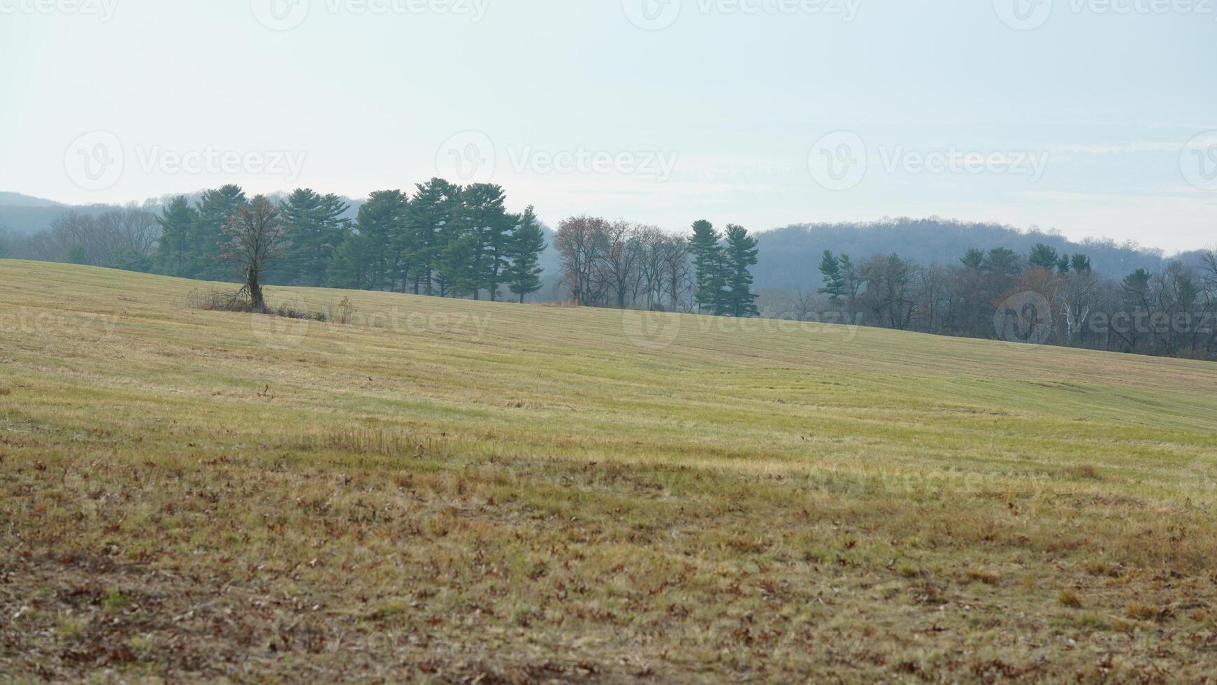 The valley Forge view with the meadows and woods in the USA photo