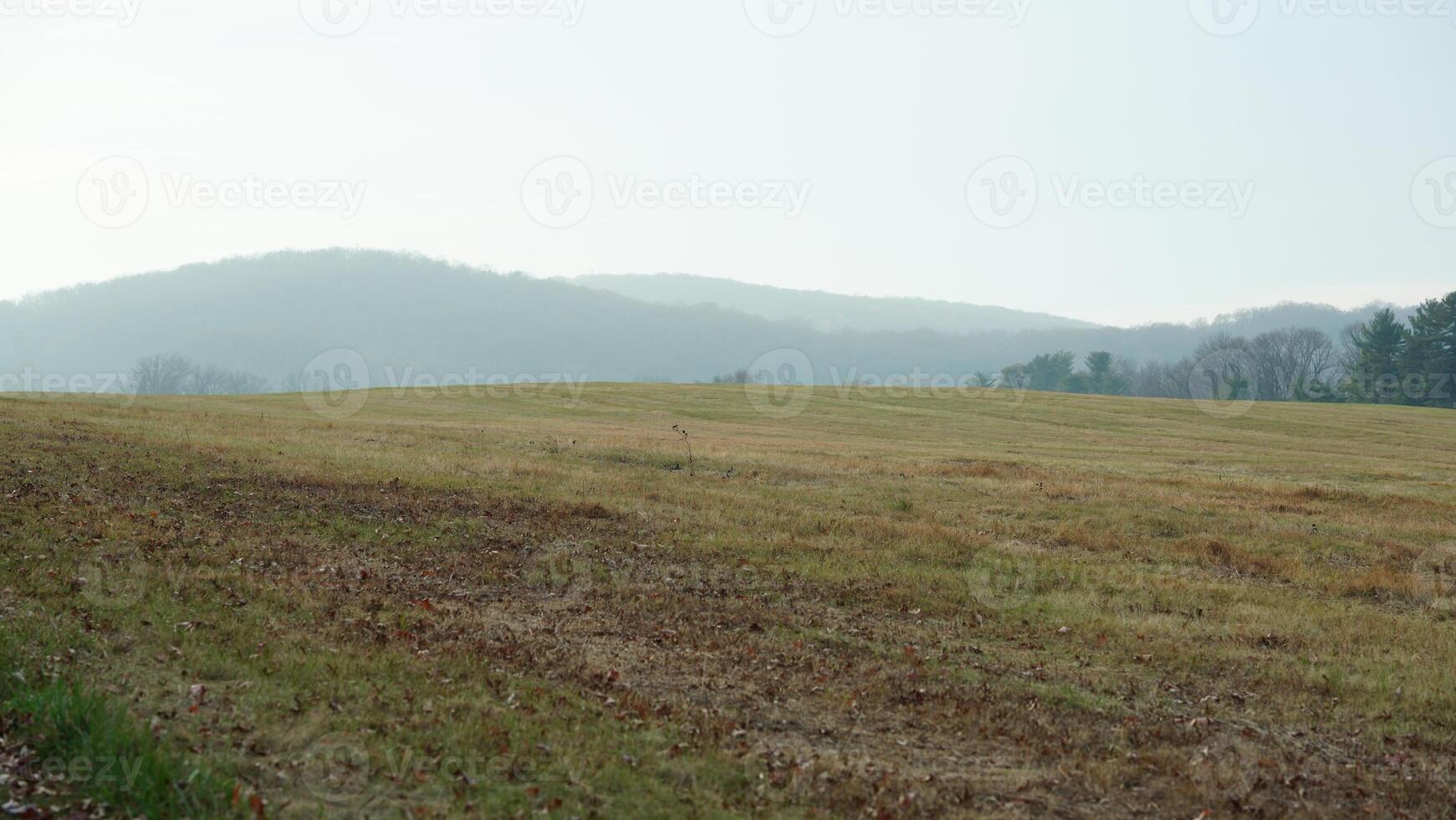 The valley Forge view with the meadows and woods in the USA photo