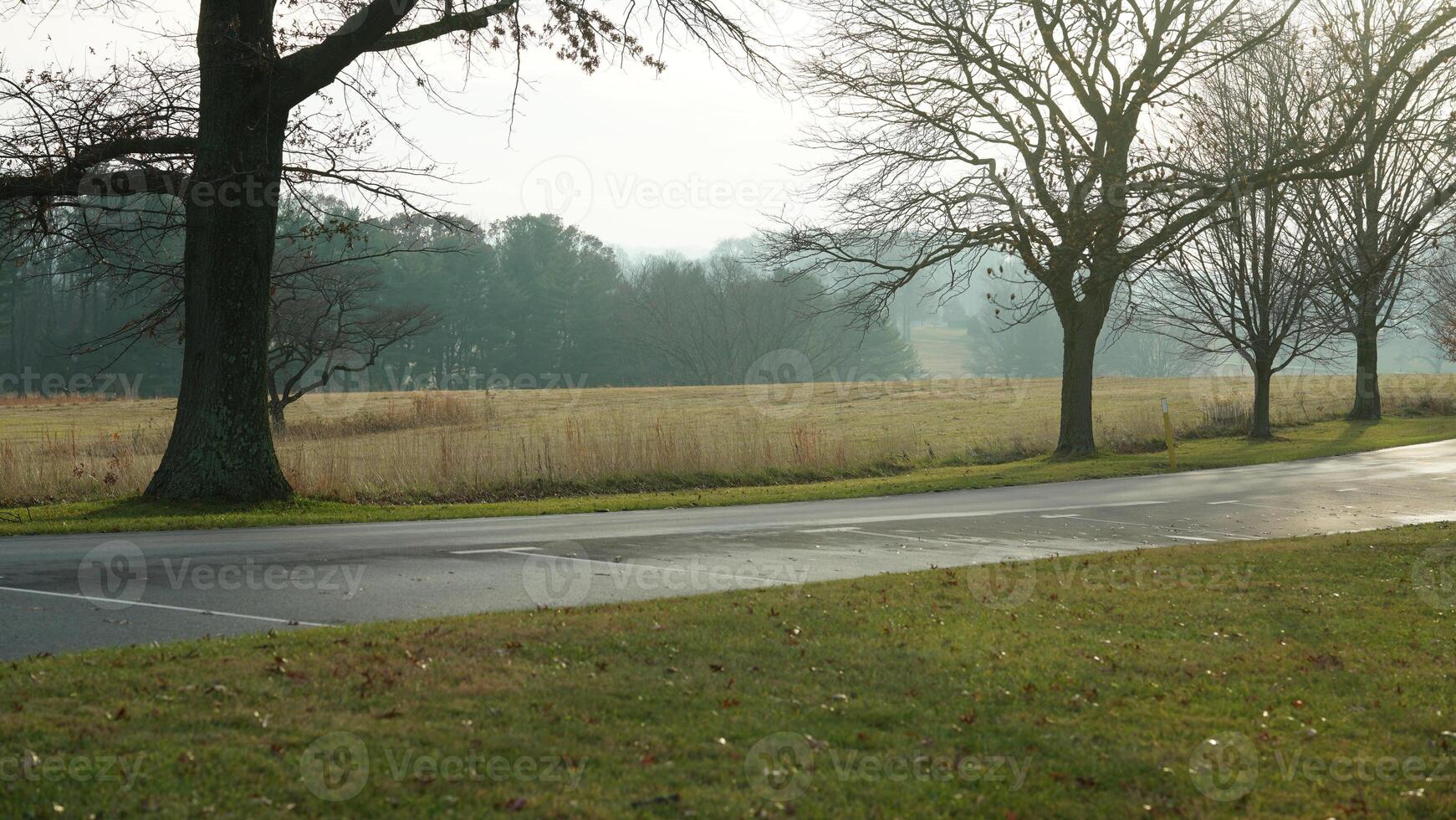 The valley Forge view with the meadows and woods in the USA photo