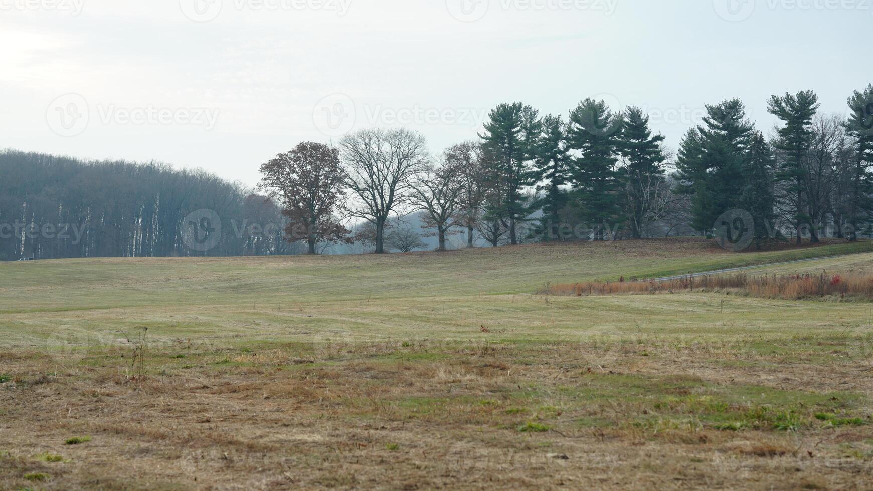 The valley Forge view with the meadows and woods in the USA photo