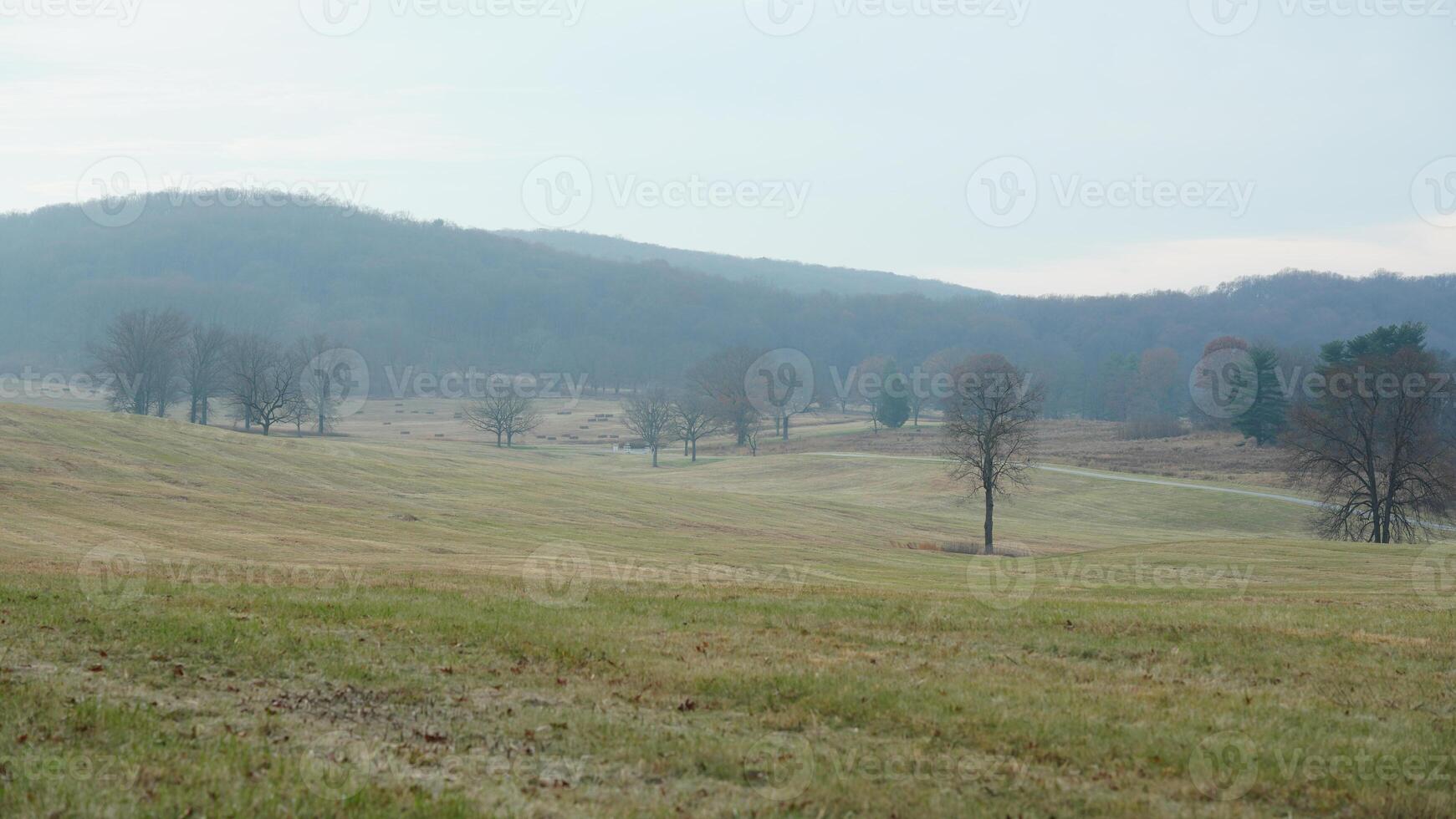 The valley Forge view with the meadows and woods in the USA photo