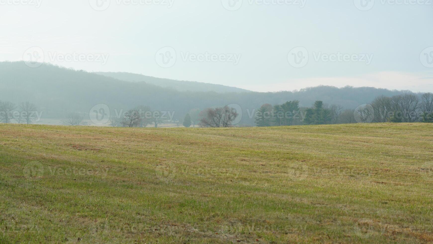 The valley Forge view with the meadows and woods in the USA photo
