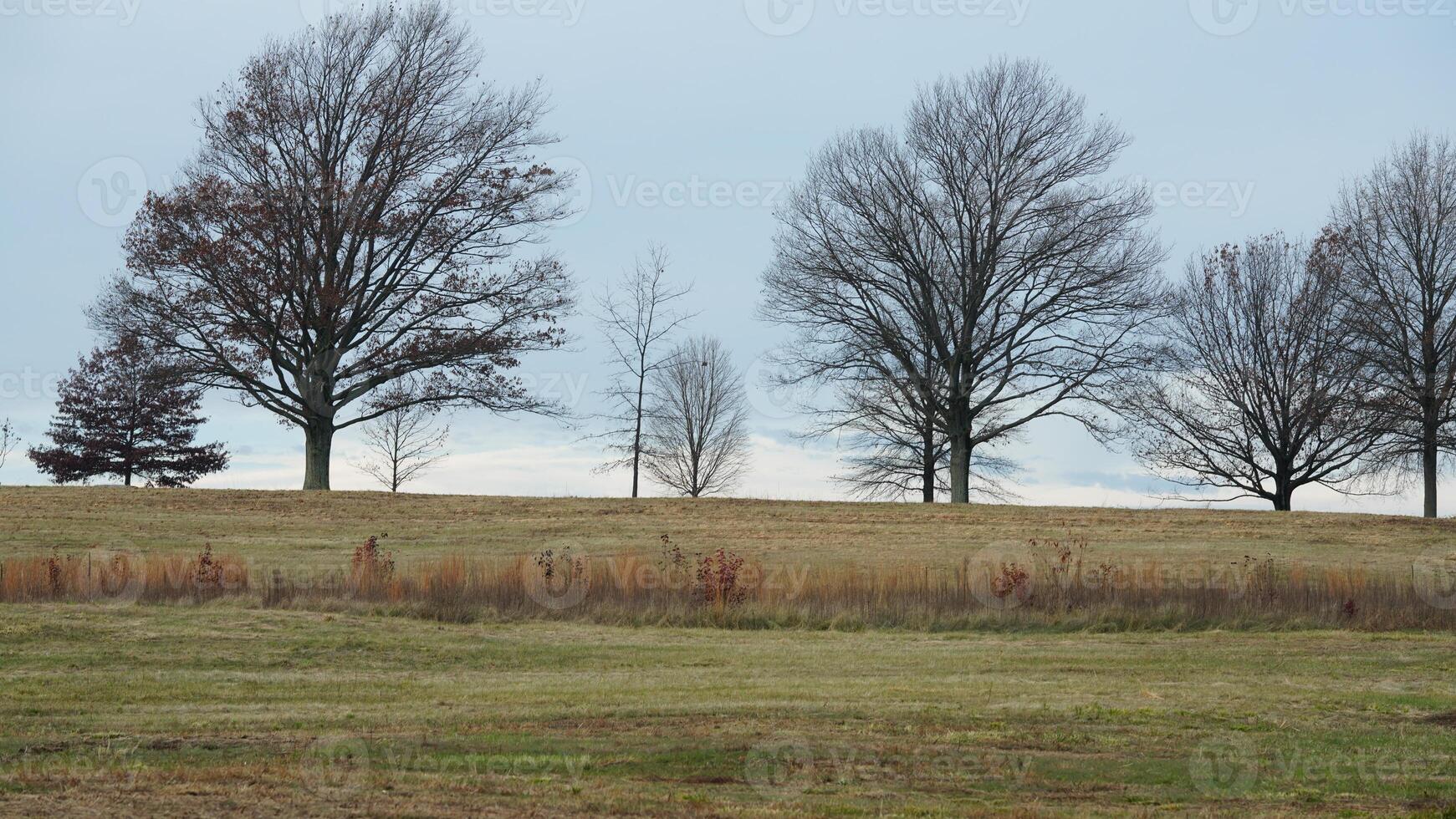 The valley Forge view with the meadows and woods in the USA photo