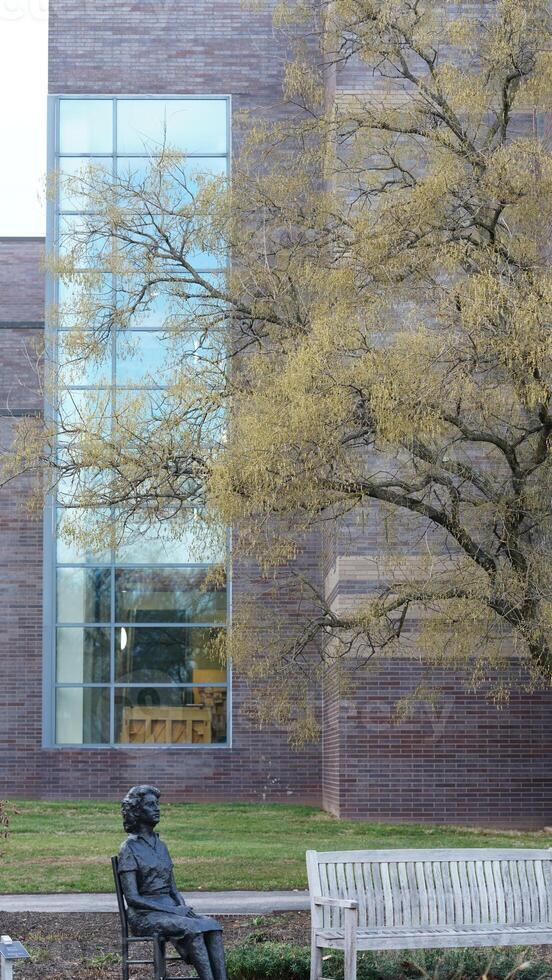 The beautiful campus view in the Ursinus college of the USA photo