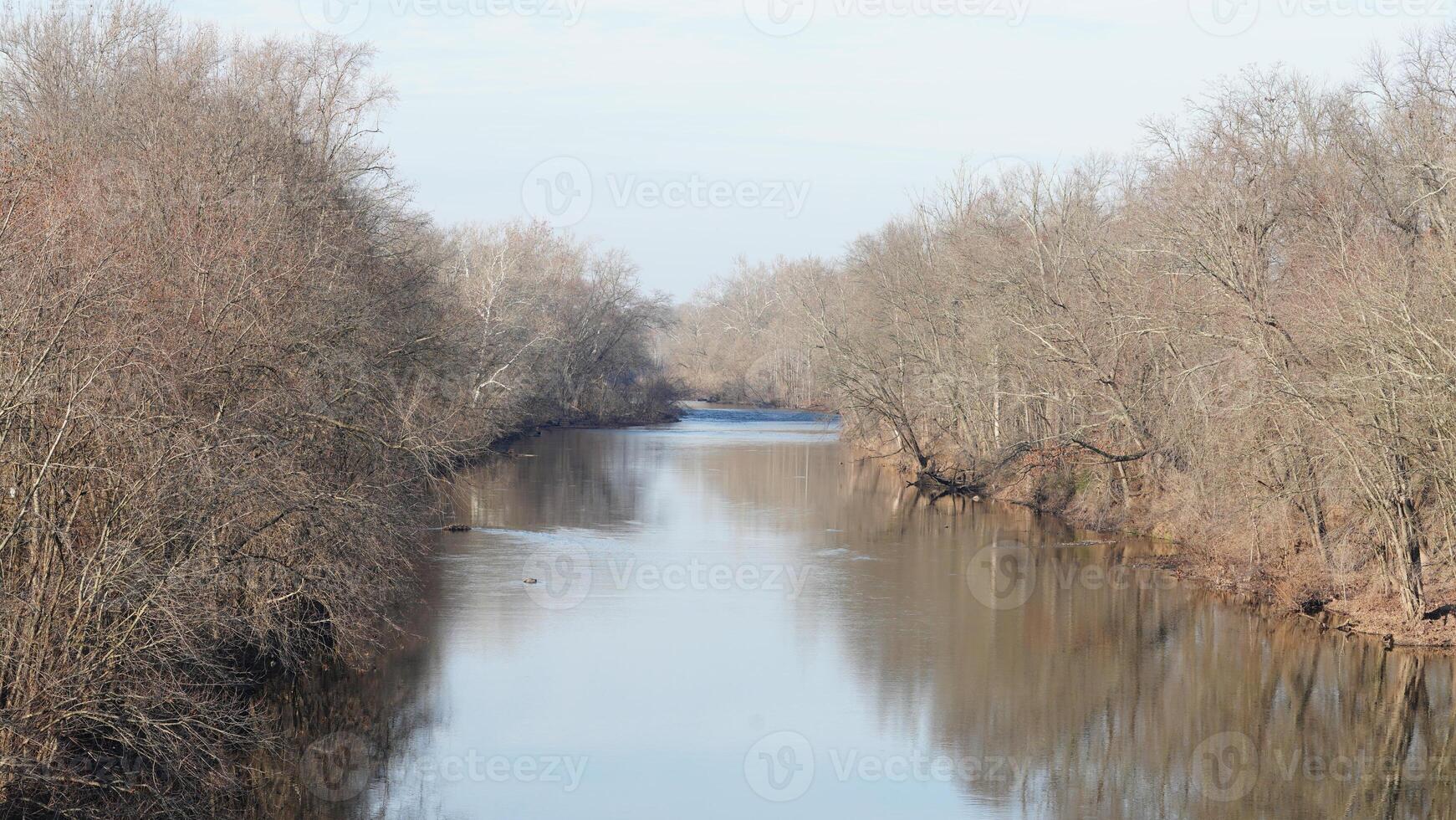 The forest landscape with one river running in the valley in winter photo