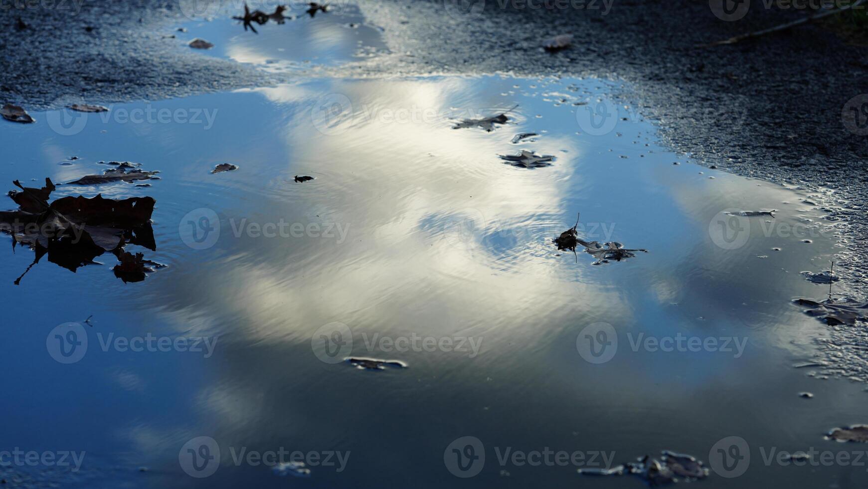 The reflection view from the water pool surface after the raining photo