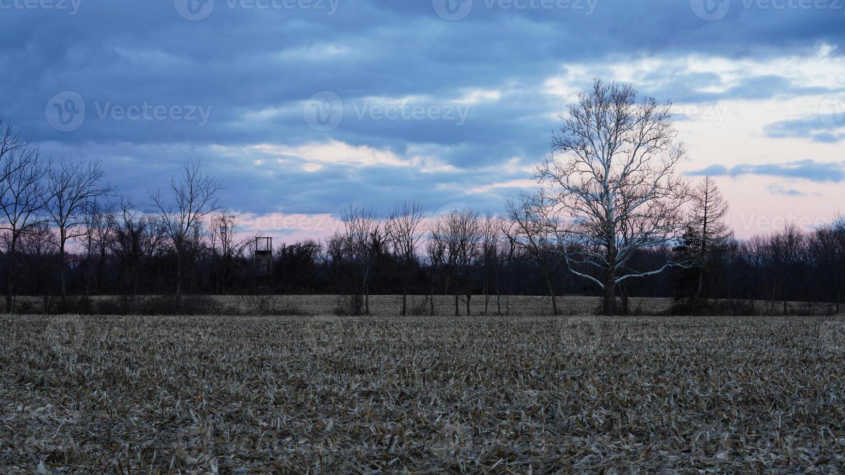 The beautiful sunset sky view with the colorful clouds as background photo