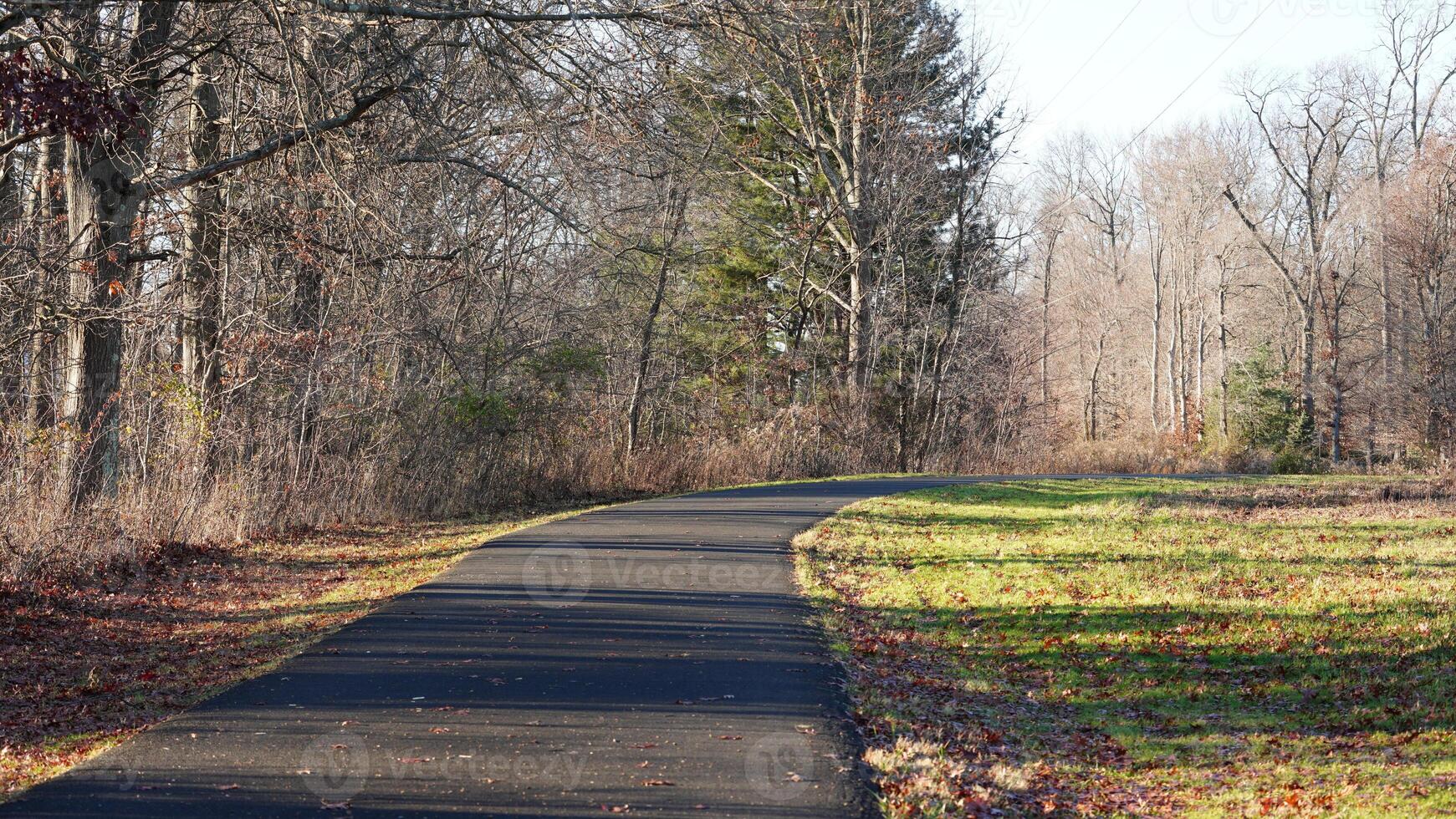 The forest view with the narrow country road across them in winter photo