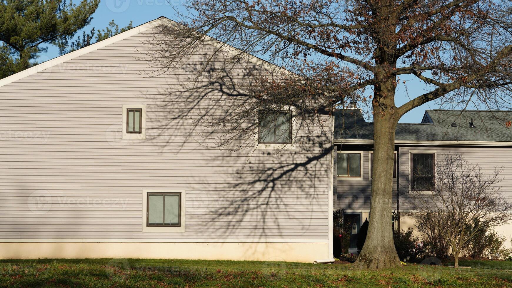 The houses view located in the USA town or countryside photo