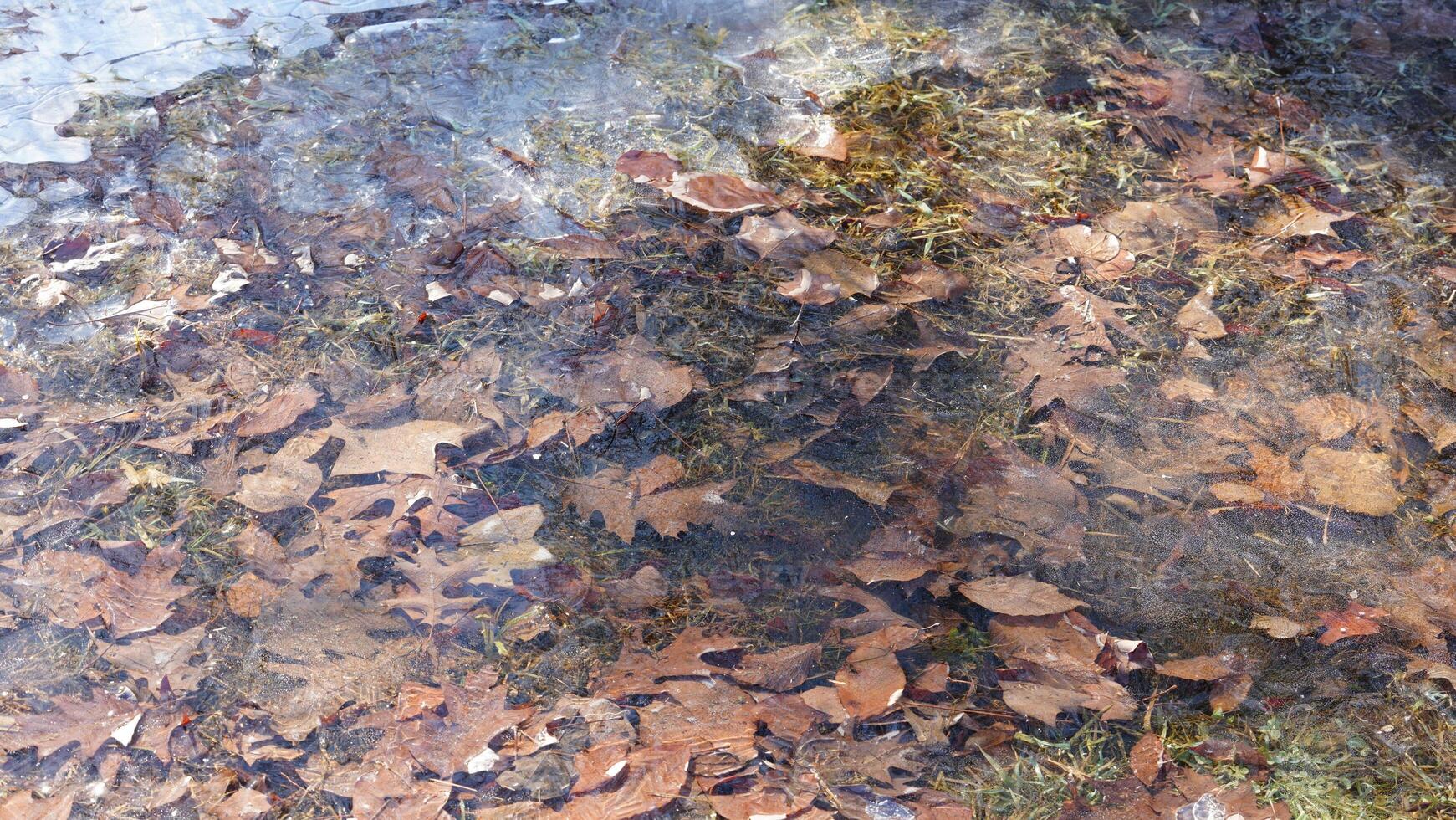 The water surface was frozen into the ice in winter photo
