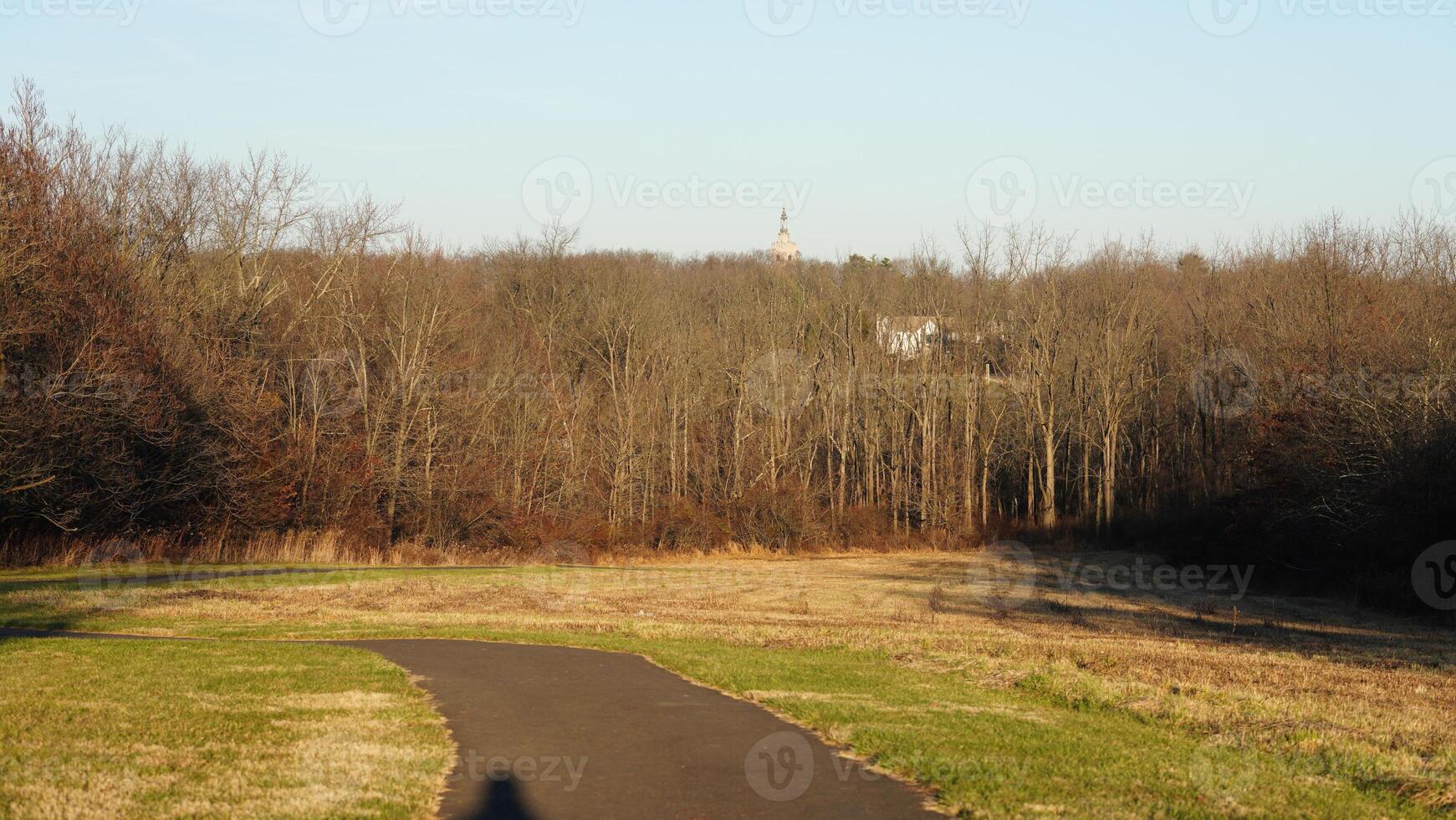 The forest view with the narrow country road across them in winter photo