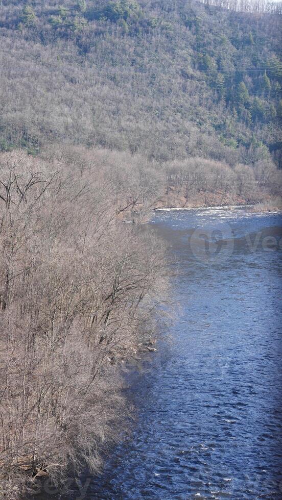 The forest landscape with one river running in the valley in winter photo