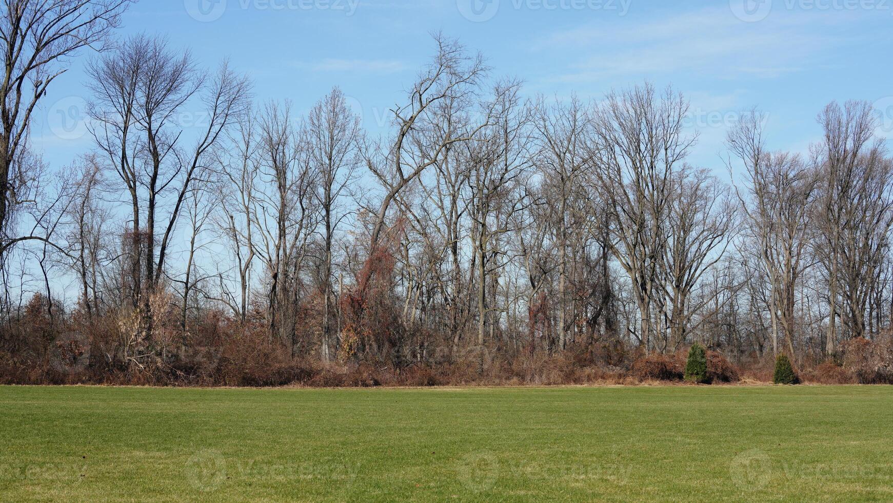 The forest view with the narrow country road across them in winter photo