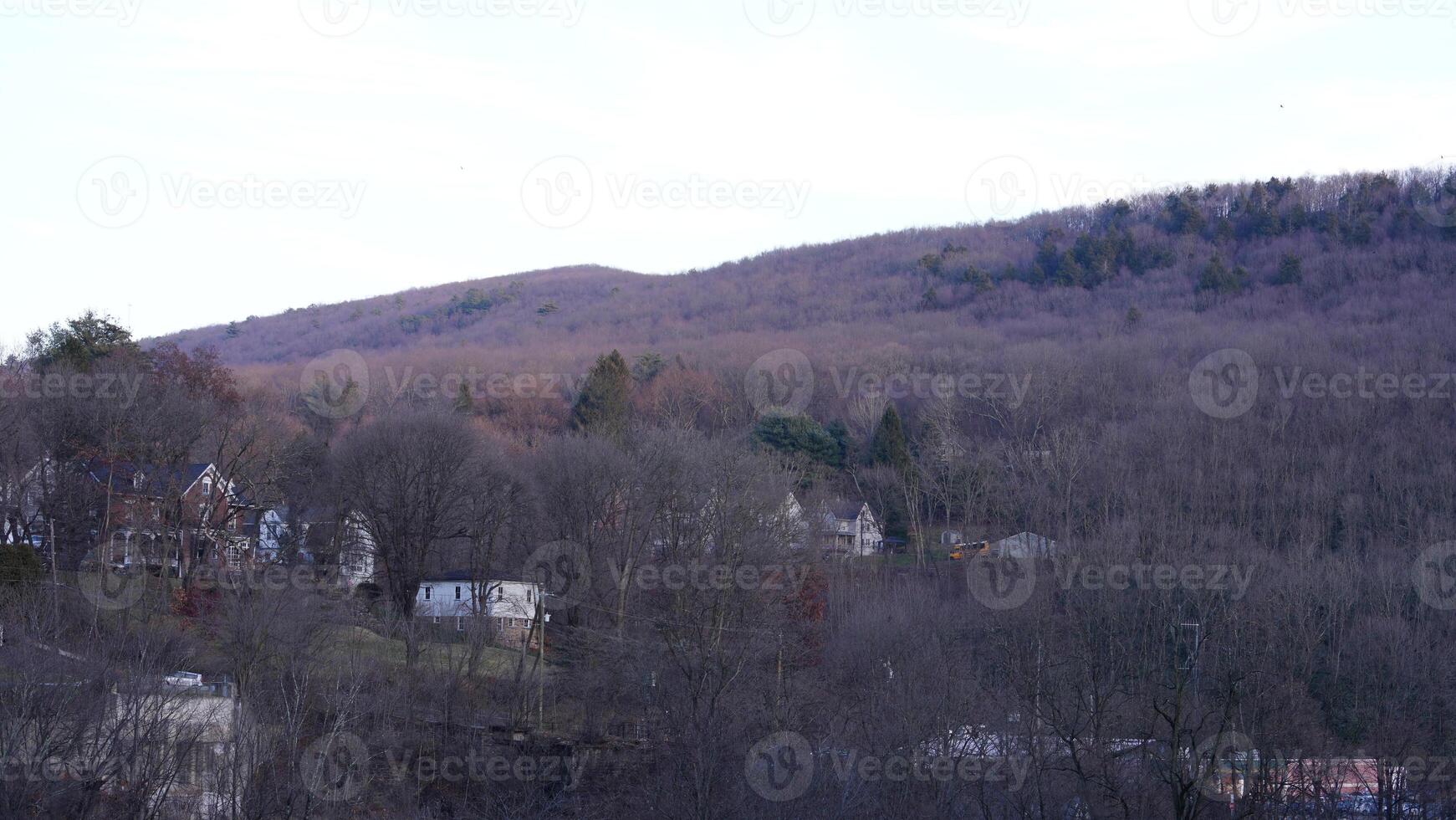 The forest landscape with the sunset sunlight on them in winter photo