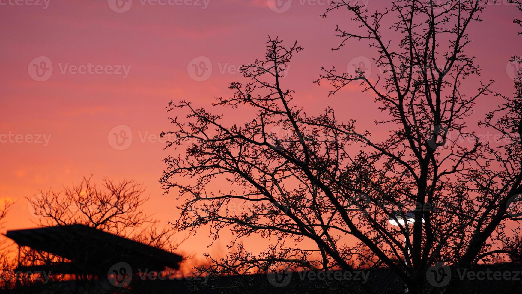 The beautiful sunset sky view with the colorful clouds as background photo