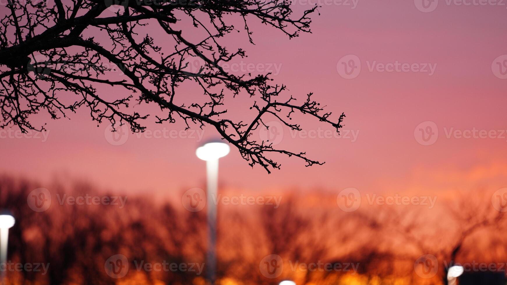 The beautiful sunset sky view with the colorful clouds as background photo