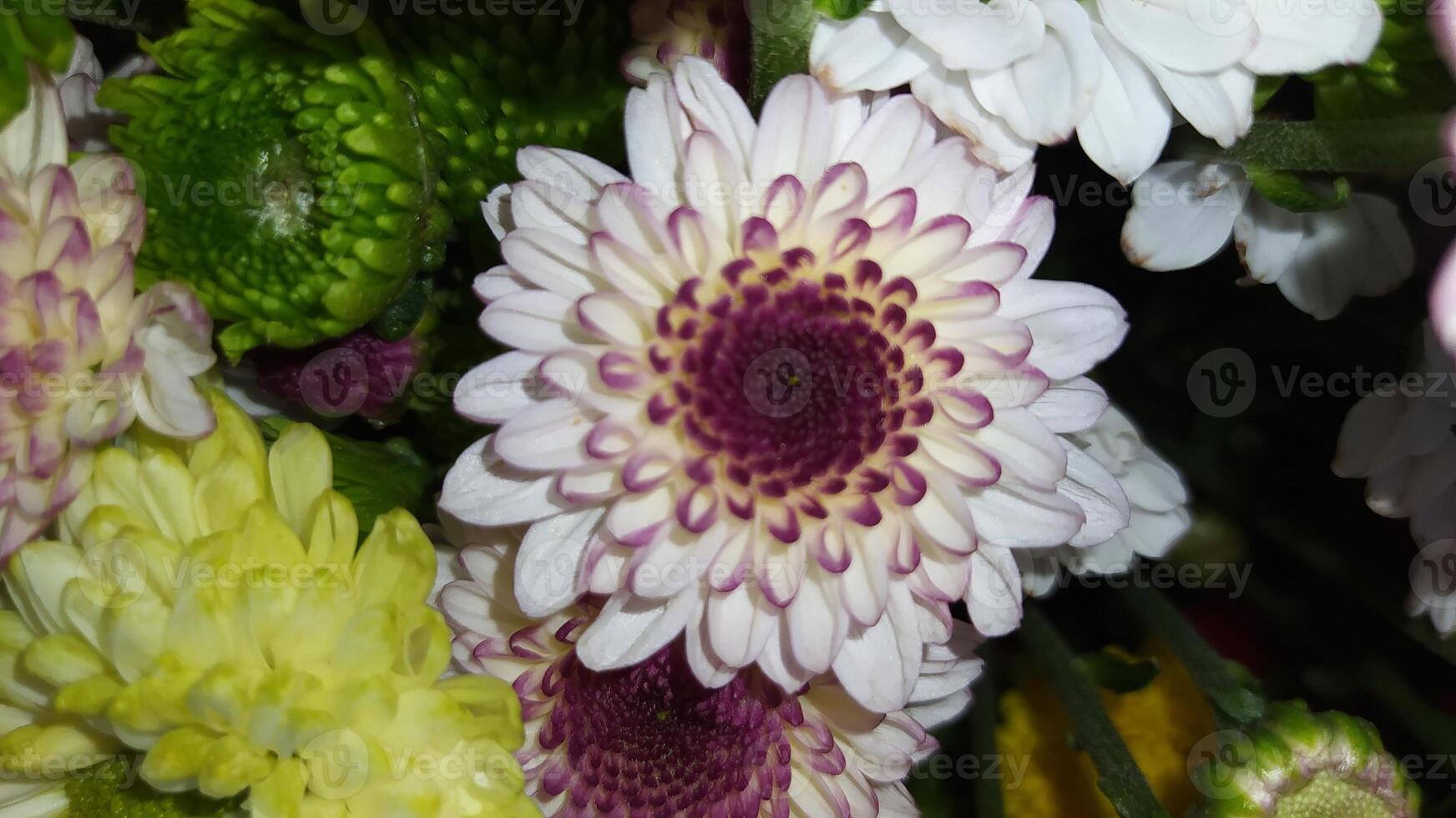 A Stunning Collection of Beautiful Blooming Flowers Arranged in a Colorful and Vibrant Manner photo