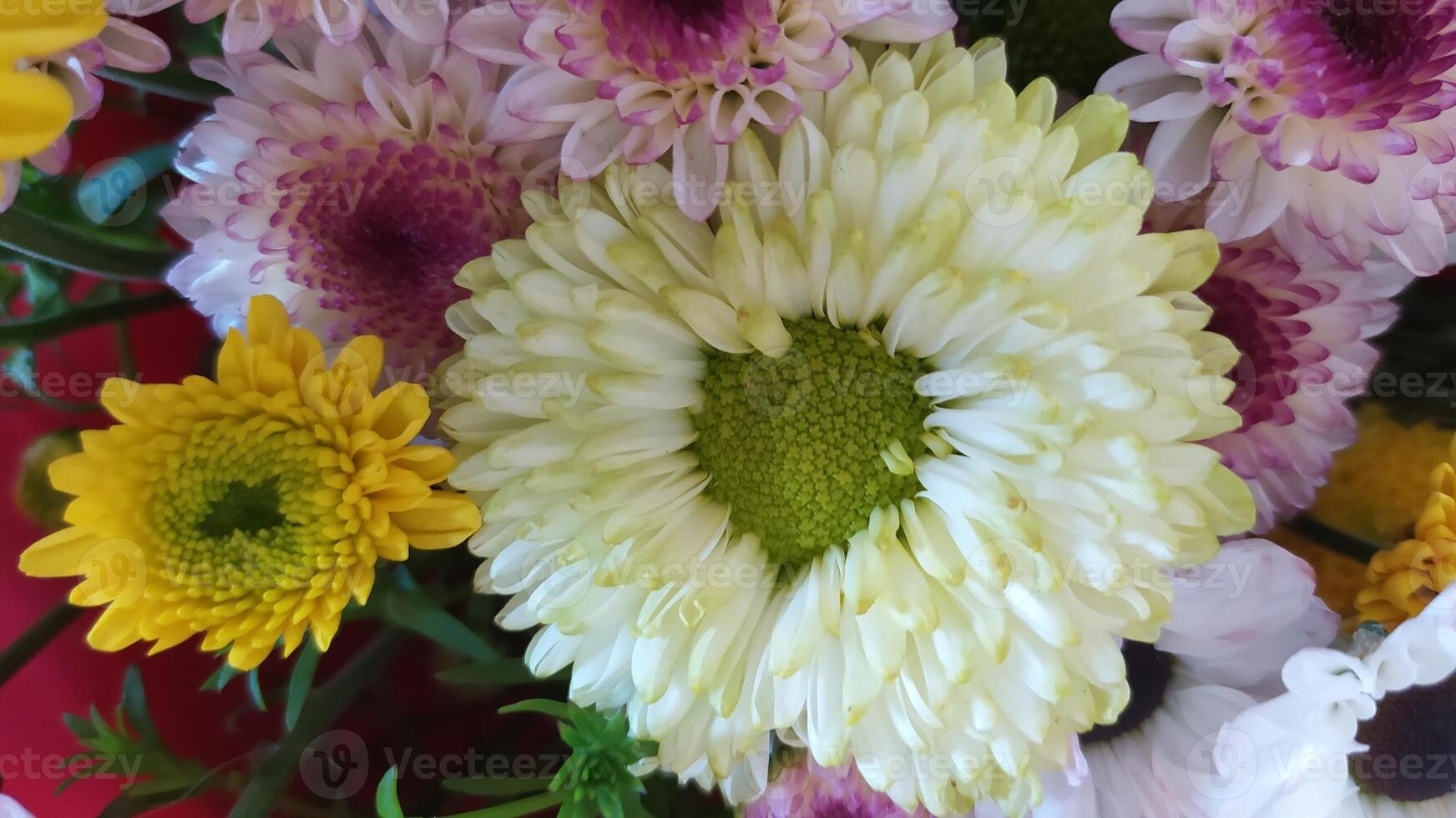 A Beautiful Vibrant Flower Bouquet Featuring Delicate Blossoms and a Variety of Vivid Colors photo