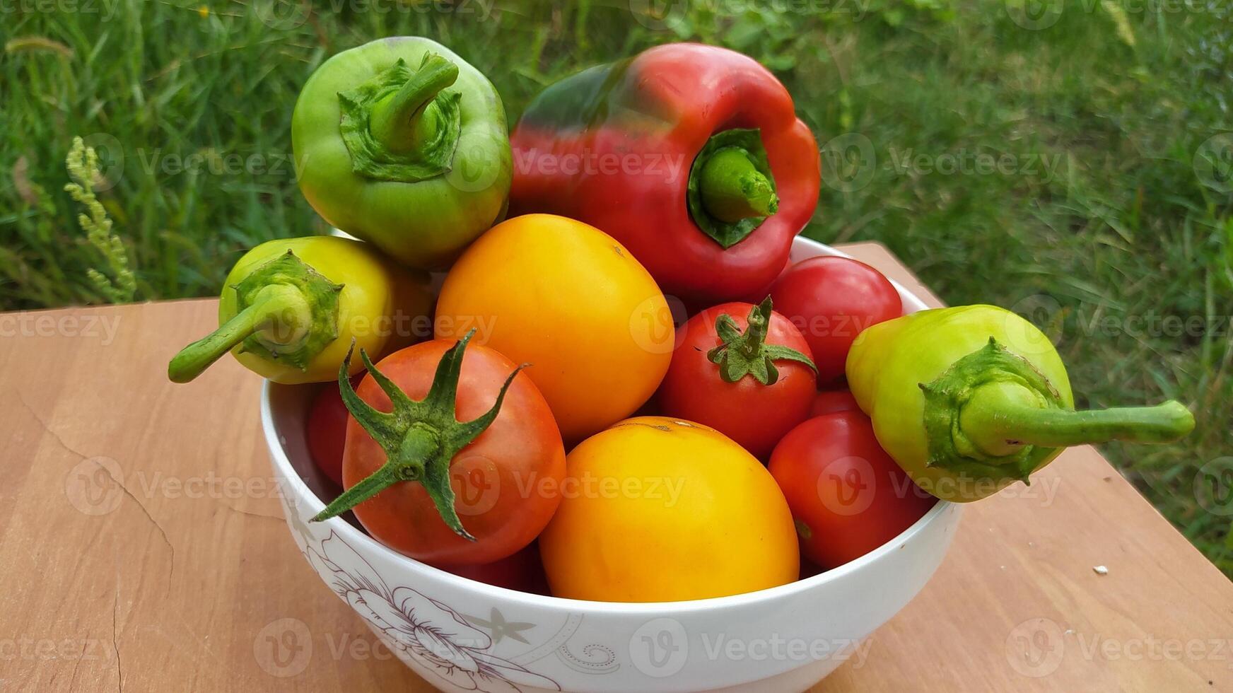 A Fresh and Vibrant Harvest of Colorful Vegetables Displayed Neatly in a Beautiful Bowl photo