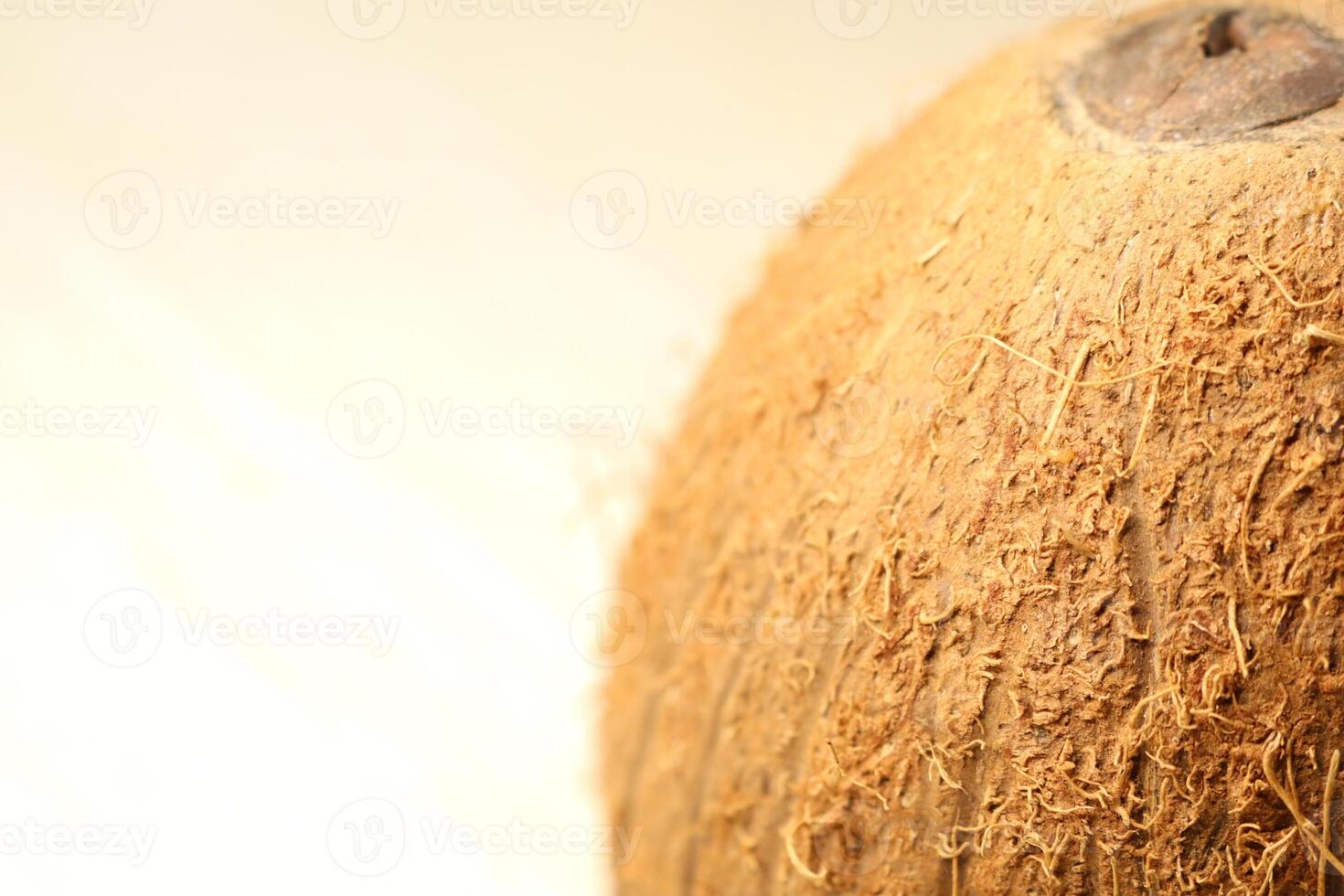 A Stunning CloseUp View of a Textured Coconut Shell Showcasing Its Intricate Details photo