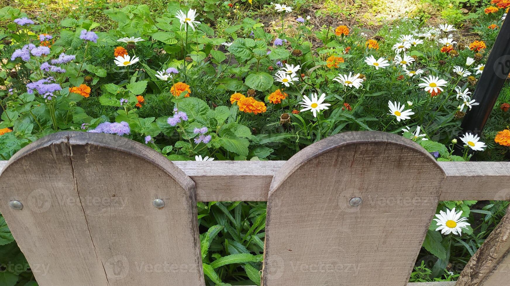 A Vibrant Garden Scene Displaying an Abundance of Colorful Flowers and a Wooden Fence photo