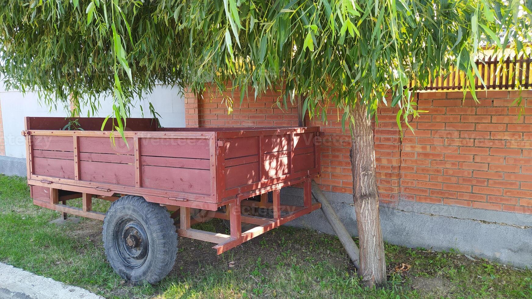 Rustic Red Wagon Positioned Beautifully Under a Large, Shady Tree in the Backyard photo