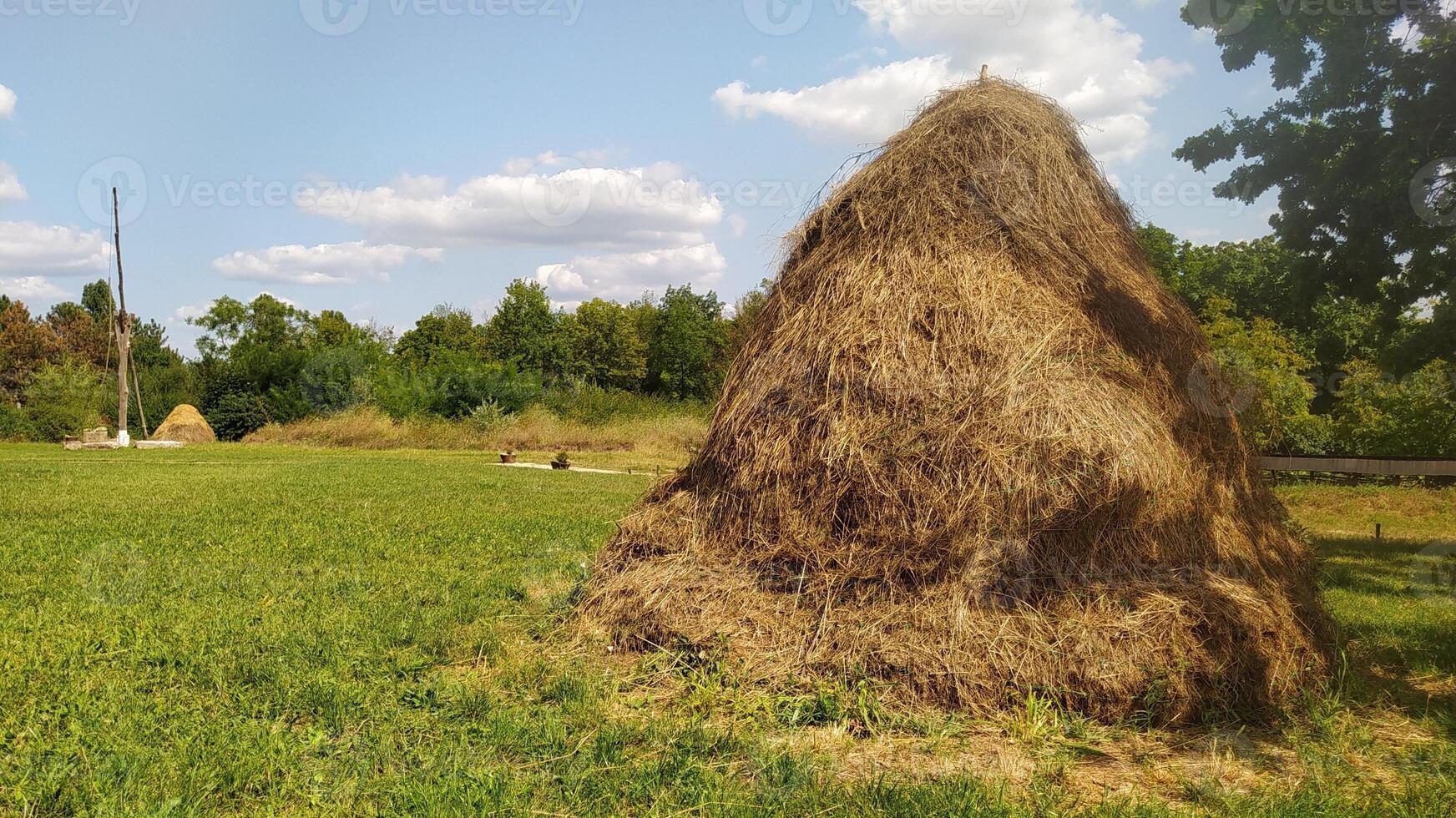 In a sunlit field, a picturesque haystack is surrounded by greenery and peaceful skies photo