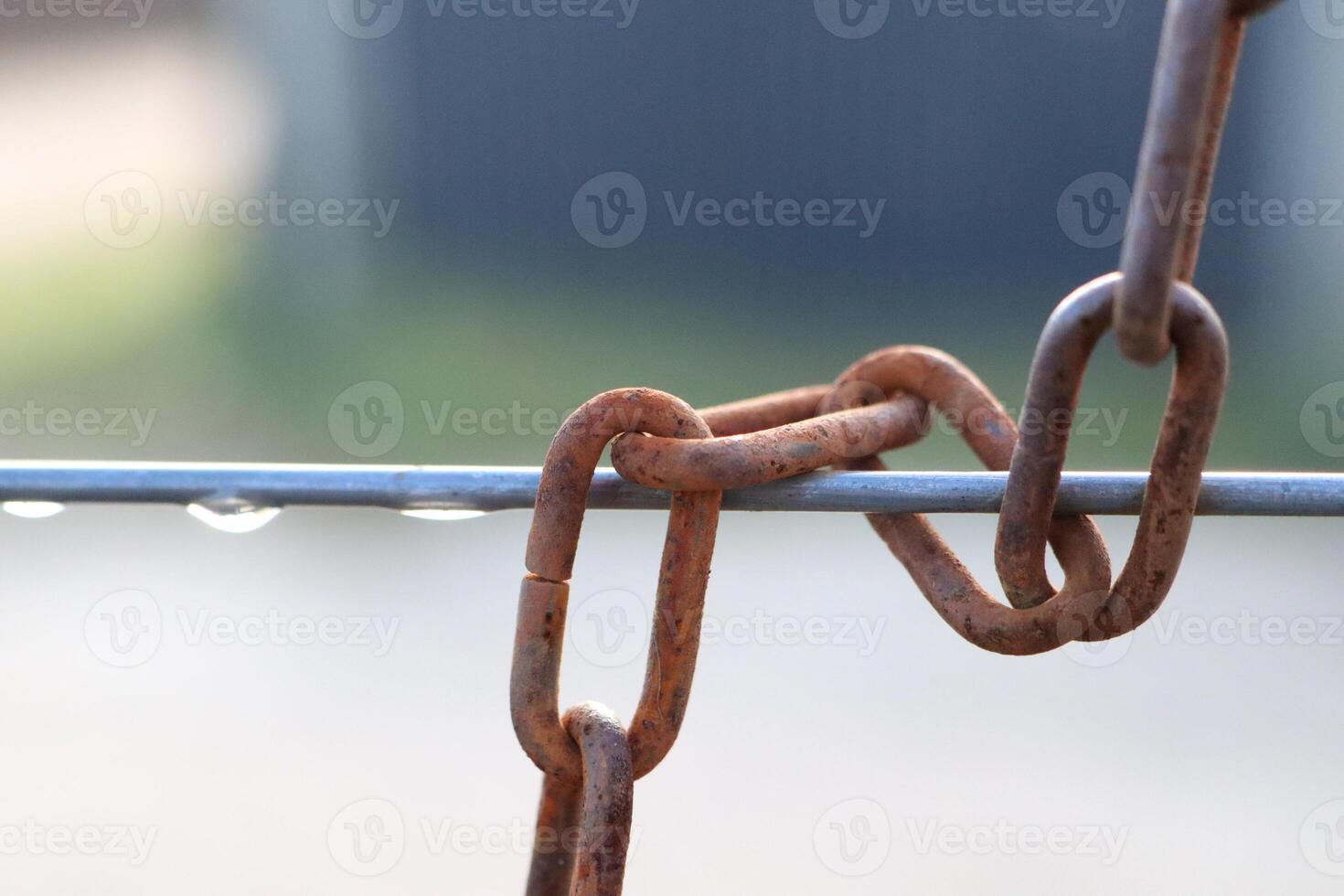 This is an image of a rusty chain link hanging on a metal wire adorned with raindrops photo