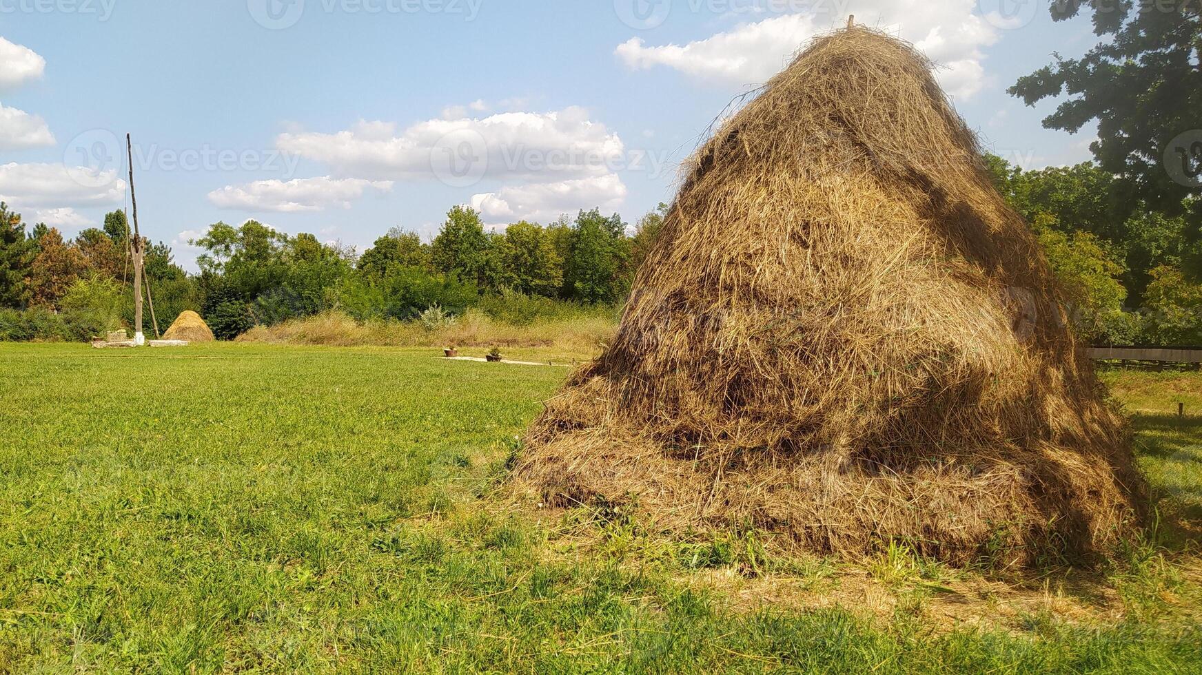 A haystack in a green field under a clear blue sky, radiating tranquility and beauty photo